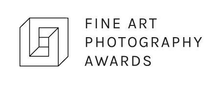 fine art award